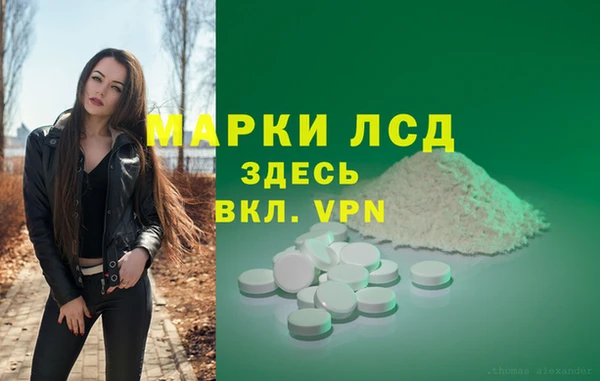 прущие грибы Михайлов