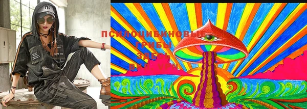 МДПВ Абаза