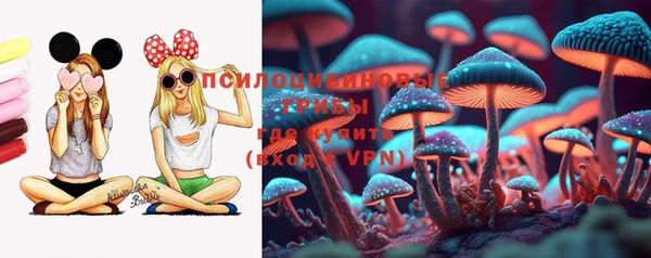 индика Алексеевка