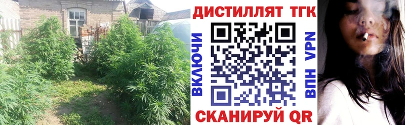 ТГК гашишное масло  Пойковский 