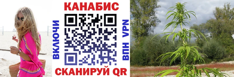 магазин    Пойковский  Каннабис VHQ 